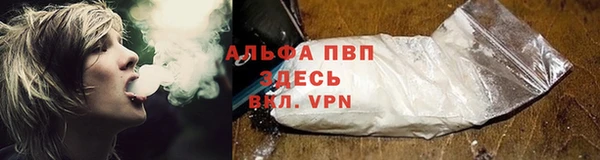mdpv Волоколамск
