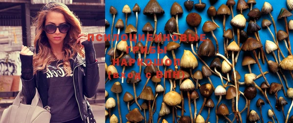 а пвп мука Володарск