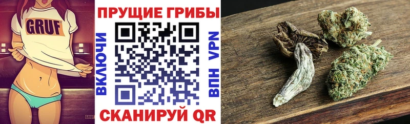 Галлюциногенные грибы ЛСД  Купить где  Луза 